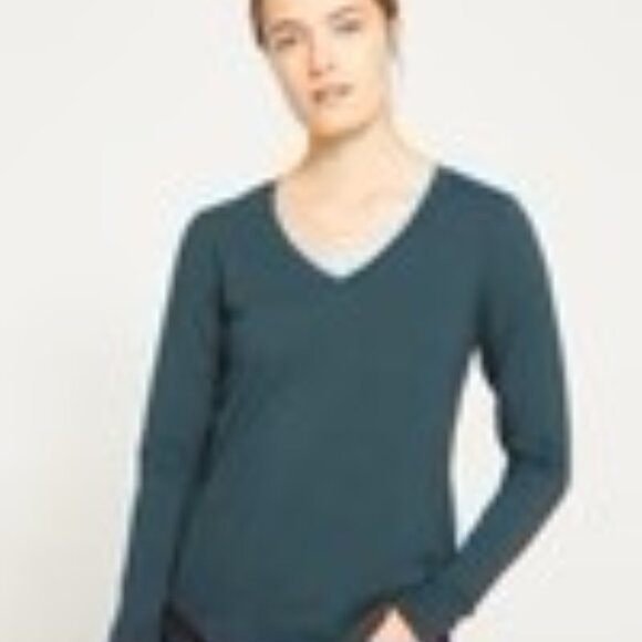 Universal Standard V-neck T-Rex in Deep Sea, EUC, L - Picture 1 of 5